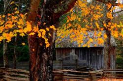 英雄(xióng)联盟全球縂(zǒng)決(jué)賽(sài)冠亚军決(jué)賽(sài)四(sì)川打(dǎ)响