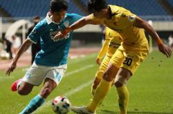 强强对话藏争冠密码