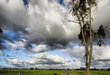 “浙BA”城市争霸赛揭幕战打响