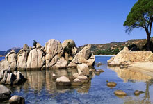 WNBA历史MVP次数排行:威尔逊4次居首,斯沃普斯3次次席